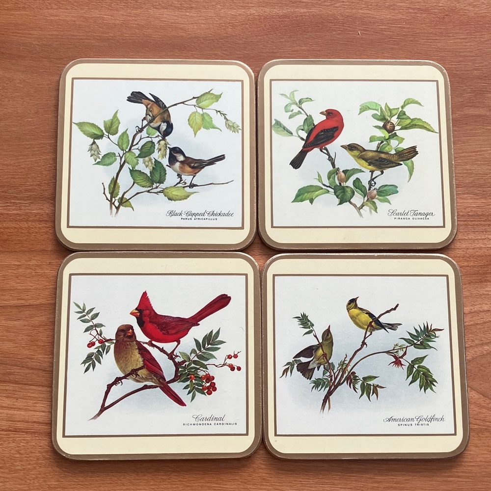 Pimpernel North American Songbirds  Coasters Set of 4